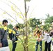 Rộn ràng lễ hội Chào năm mới 2017